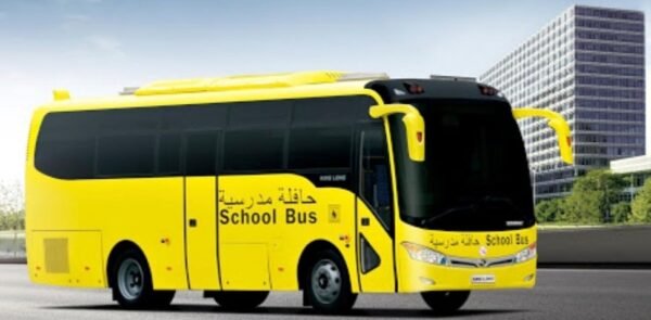 (2) COASTER BUS / ROZA BUS / SIMILAR BUS - Image 3